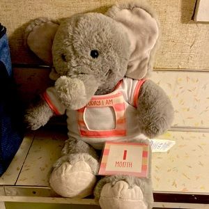 Stuffed Elephant with 12 month milestone cards